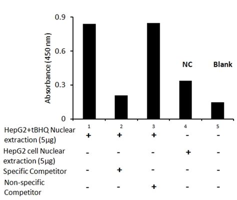 Human Nrf Transcription Factor Activity Assay Kit Raybiotech