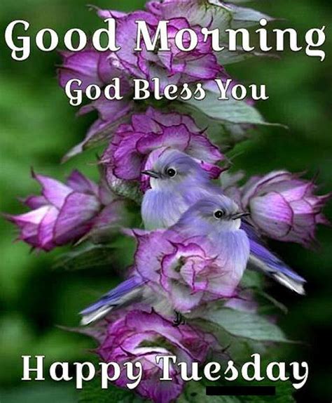 Good Morning God Bless You Happy Tuesday Image Quote Happy Tuesday Pictures Happy Tuesday