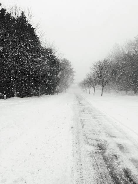 Premium Photo Road Amidst Snow Covered Trees