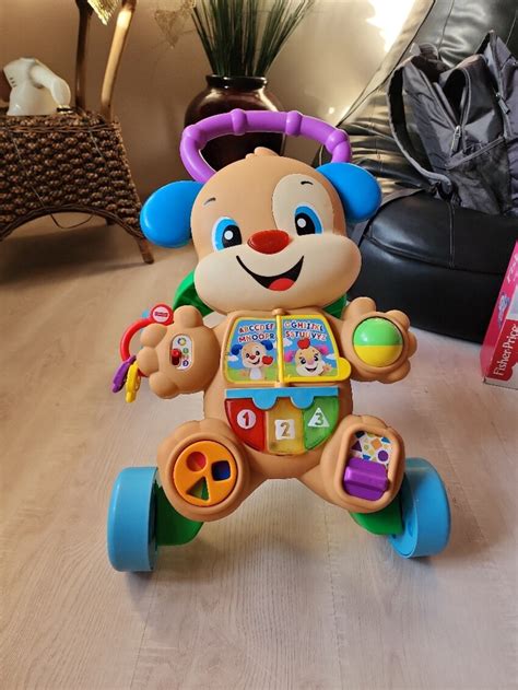 Fisher Price Eğitici Köpekcik Yürüteç Bebek Araç Gereçleri 1686113584