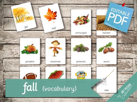 Fall Vocabulary 40 Editable Montessori Cards Flash Cards Etsy España