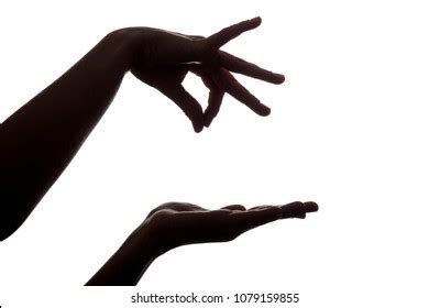 713 Hand Holding Something Silhouette Images, Stock Photos & Vectors ...