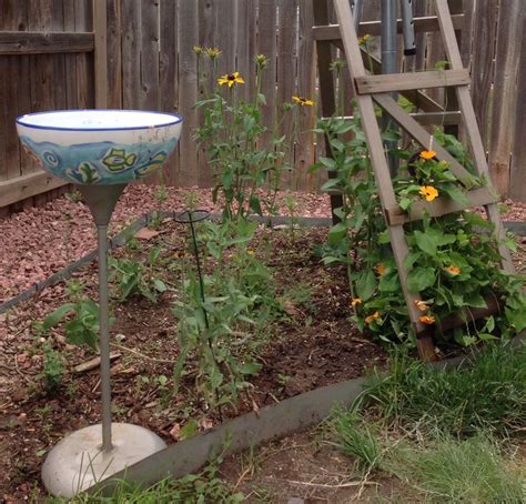 An Outdoor Garden With Flowers And Plants Growing In The Ground Next To