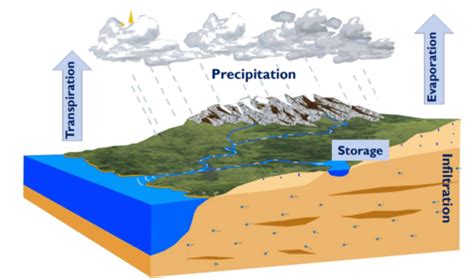 Water Lab Lecture Watershed Delineation Flashcards Quizlet