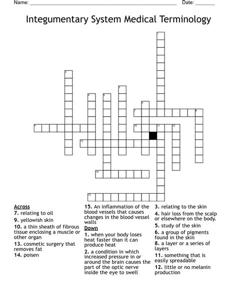 Integumentary System Medical Terminology Crossword WordMint