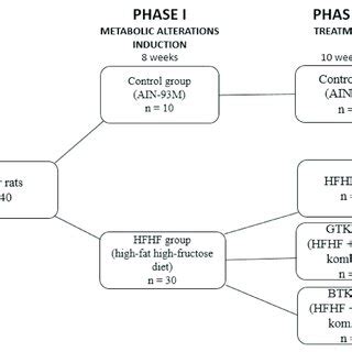 Experimental study design. | Download Scientific Diagram