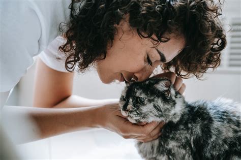 12 Health Benefits Of Having Cats Knowyourdna