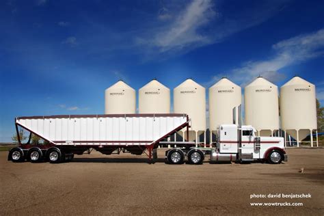 Grain Hauler Custom Big Rigs Big Trucks Peterbilt Trucks