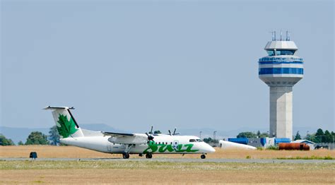 Delay-causing trees trimmed near Comox airport - My Comox Valley Now