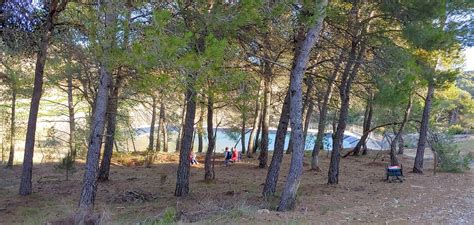 Escola Bosc Projecte deducació viva a la natura A Cau de Bosc