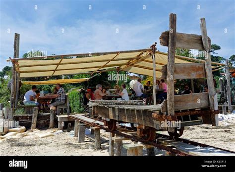 France Gironde Bassin D Arcachon Cap Ferret L Herbe Mile Et Une