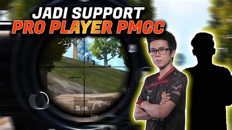 JADI INI RASANYA JADI SUPPORT PRO PLAYER PMGC PERANG TERUS SAMPE