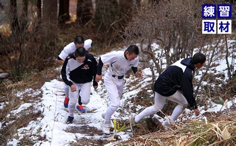 平塚誠監督」記事一覧」記事一覧 Timely Web