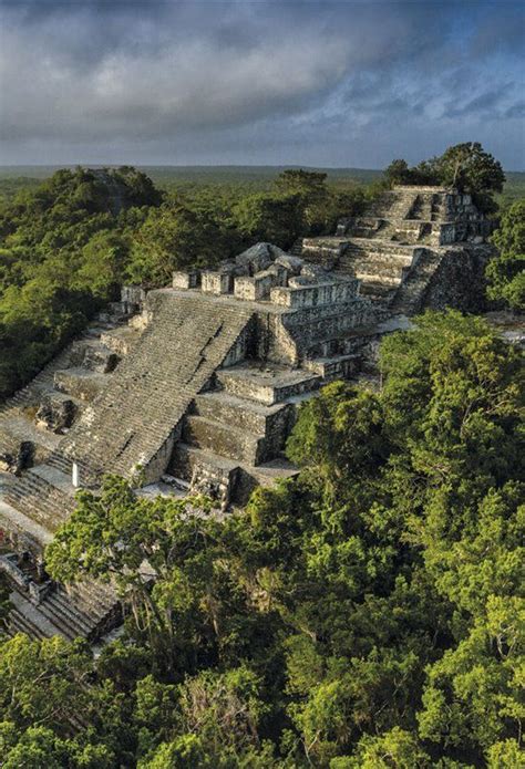 Calakmul El Reino Maya De La Serpiente Artofit