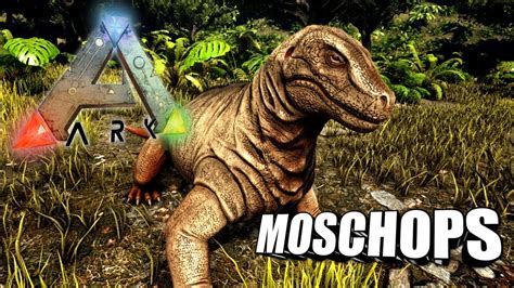 Taming A Moschops Ark Survival Evolved The Island Youtube