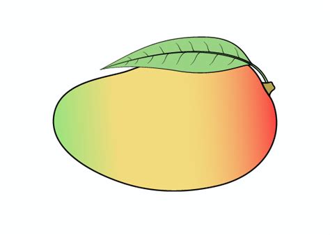 How to Draw a Mango Step by Step - EasyLineDrawing