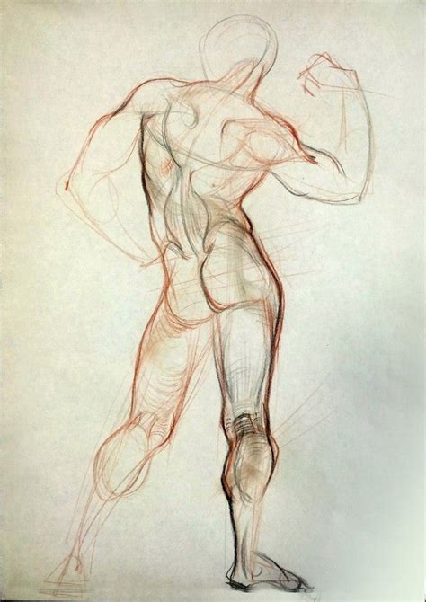 Pin By Tatiane Vidal On Drawings Anatomy Art Sketches Anatomy Sketches