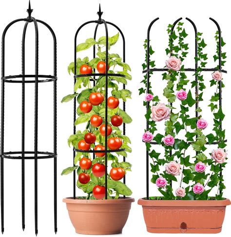 Amazon Hysagtek 2 Pack Garden Obelisk Trellis For Climbing Plants