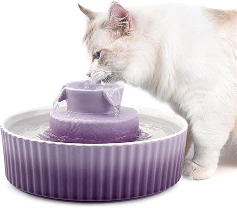 Amazon Kenepet Ceramic Cat Water Fountain L Oz Automatic