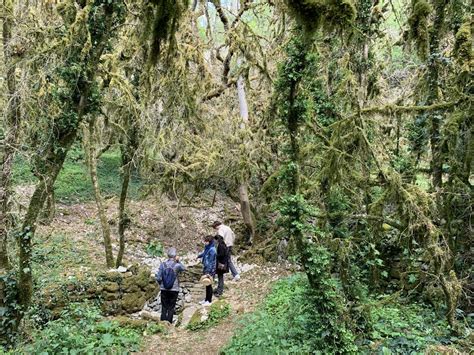 Léglise de Saint Symphorien Tarn et Garonne Tourisme