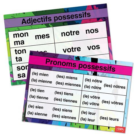 Possessives French Charts Set Of Classroom D Cor Teacher S Discovery