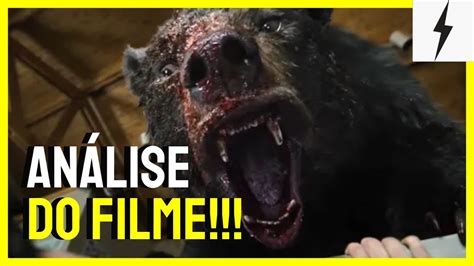 URSO DOIDÃO HUMOR TOSCO E MUITA VIOLÊNCIA ANÁLISE DO FILME O URSO DO