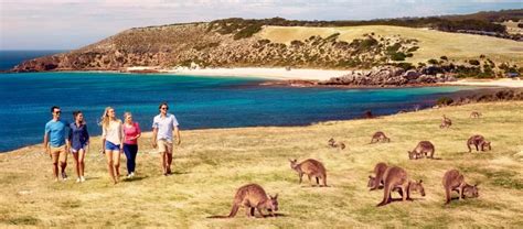 Things to do & Activities in Kangaroo Island | Kangaroo Island Attractions