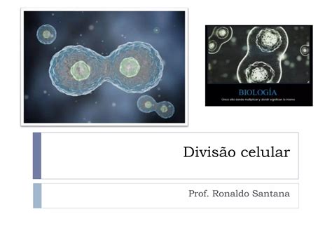 Aula Ano Ensino M Dio Divis O Celular Mitose E Meiose Ppt