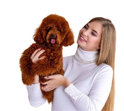 Купить корм Craftia на официальном сайте