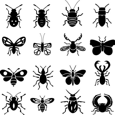 Premium Vector Insects Collection Black And White Silhouette Vector Illustration