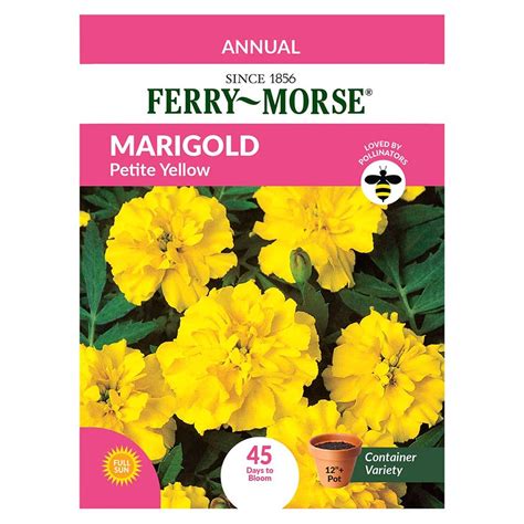 Ferry Morse Marigold Seeds