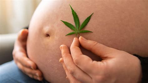 La Exposici N Prenatal Al Cannabis Se Relaciona Con Problemas De Salud