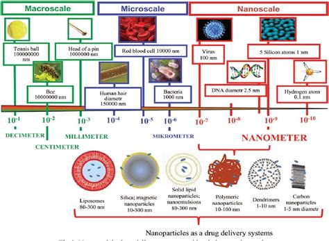 Role Of Nanoparticles In Drug Delivery System A Comprehensive Review