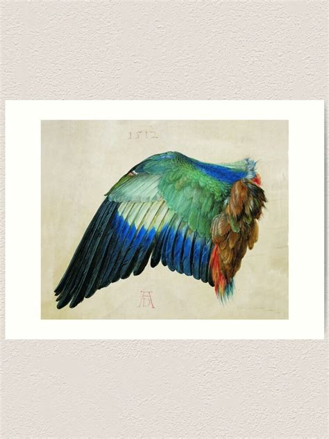 Albrecht D Rer Wing Of A Roller Art Print For Sale By