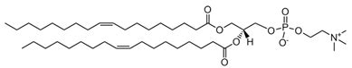 Membranes Free Full Text Phospholipases And Membrane Curvature