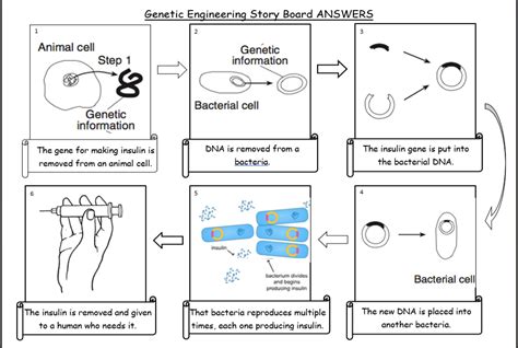 Genetic modification KS3 Activate Science | Teaching Resources