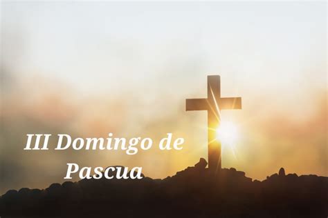 Homilía para el Tercer Domingo de Pascua 14 de abril 2024 INFODECOM