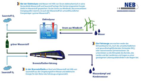 Heidekrautbahn Wasserstoff In Brandenburgs Zugverkehr Ab 2024