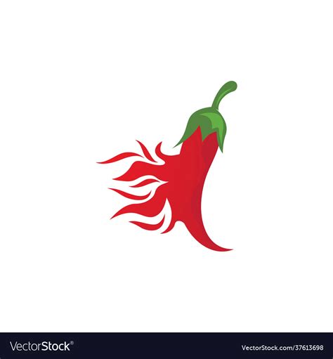 Red chili Royalty Free Vector Image - VectorStock