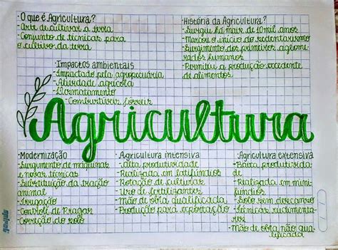 Mapa Mental Agricultura Faculdade De Agronomia Rotina De Estudos