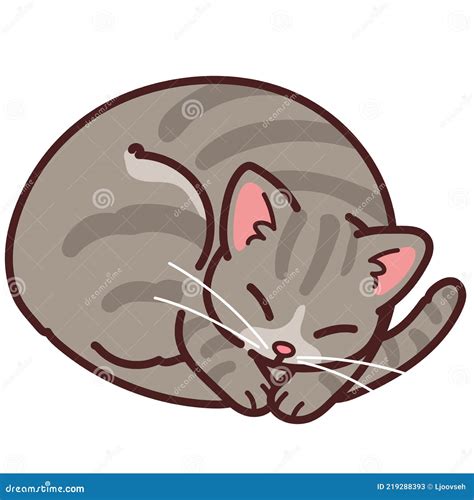 Simple And Adorable Gray Tabby Cat Sleeping Outlined Stock Vector Illustration Of Pattern