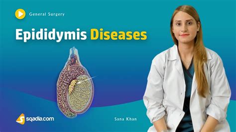 Epididymis Diseases Surgery Video Lecture Medical Online Education