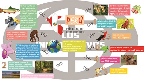 Infograf A Sobre La Biodiversidad Que Caracteriza Al Per Y C Mo Se