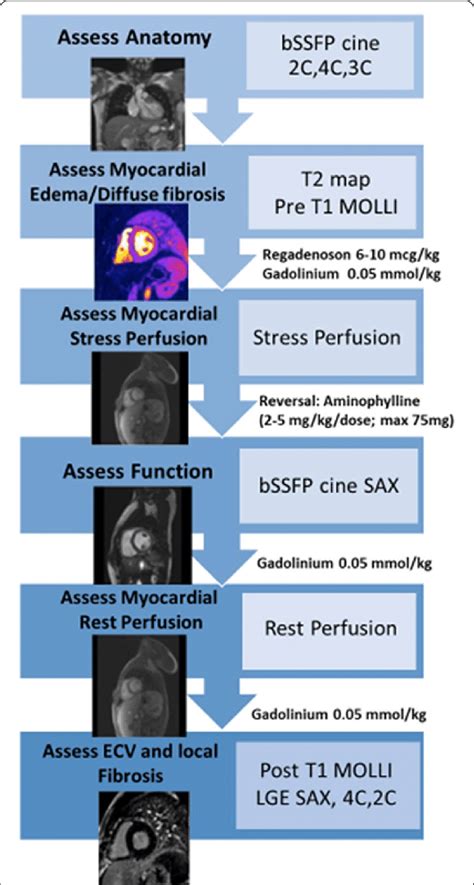 Schematic Representation Of The Cardiovascular Magnetic Resonance Cmr