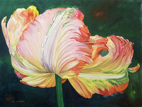 A Flaming Parrot Tulip Painting By Lily Van Bienen Fine Art America