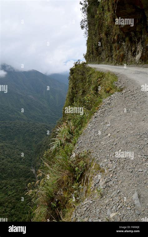 Muerte Road Camino De La Muerte Yungas North Road Entre La Paz Y