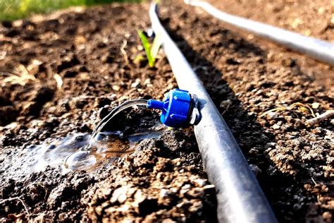 Irrigação por superfície veja se a prática é ideal para sua fazenda