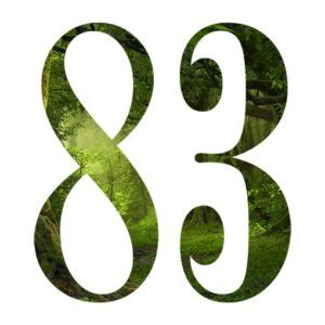 Significato E Simbologia Del Numero 83