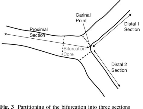 And 5 By The Different Areas The Bifurcation Core The Central Part Of