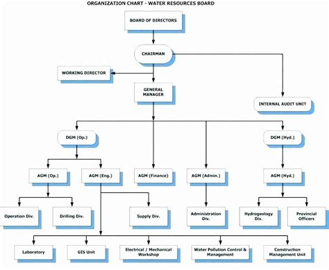 40 Project organization Chart Template | Markmeckler Template Design